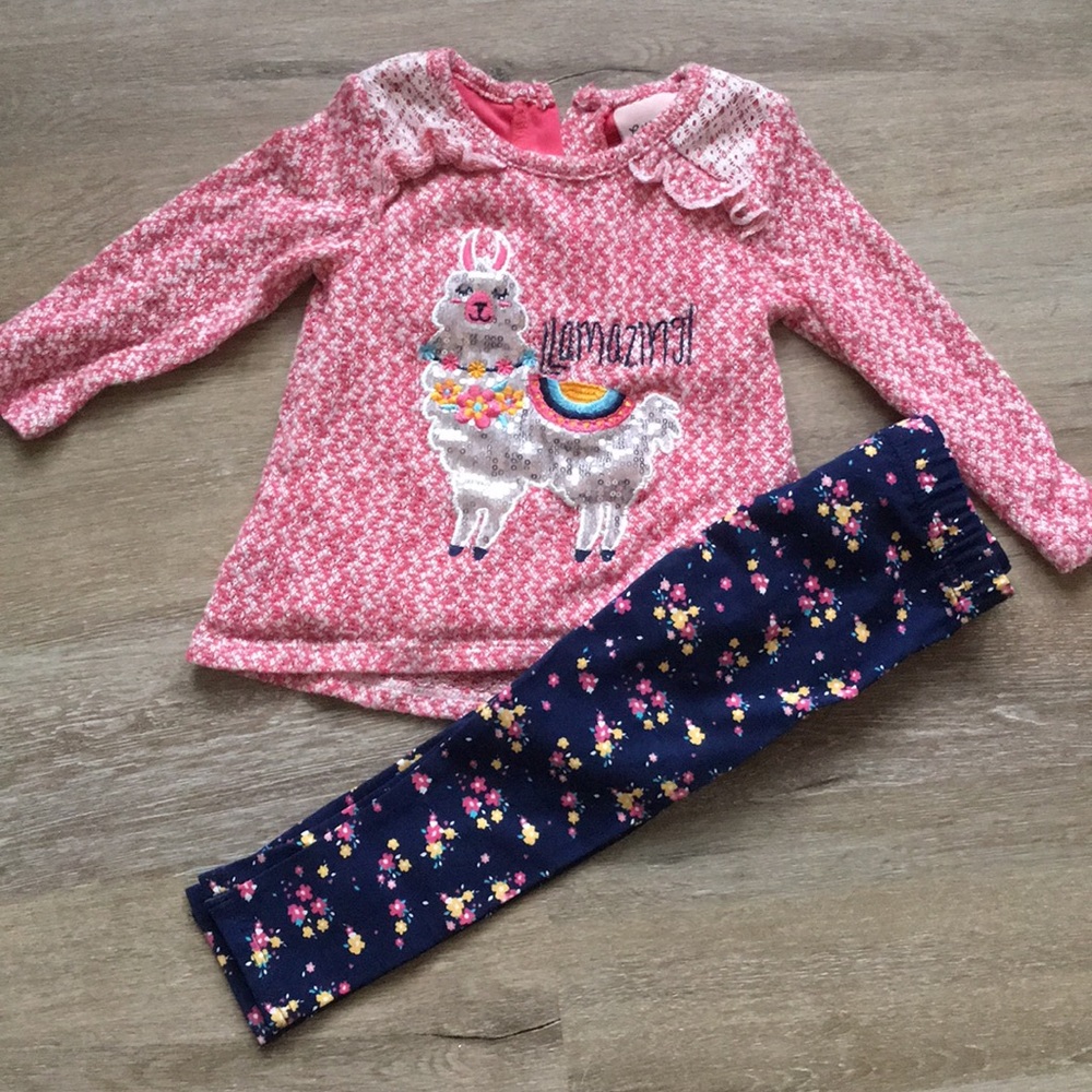 Llama shirt and pants set 2T